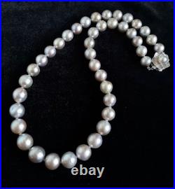 14K Silver South Sea Pearl Necklace & Earrings Set 9.5mm & 12mm 14K Silver South Sea Pearl Necklace & Earrings Set 9.5mm & 12mm