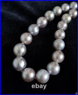 14K Silver South Sea Pearl Necklace & Earrings Set 9.5mm & 12mm 14K Silver South Sea Pearl Necklace & Earrings Set 9.5mm & 12mm