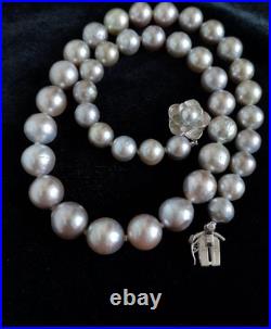14K Silver South Sea Pearl Necklace & Earrings Set 9.5mm & 12mm 14K Silver South Sea Pearl Necklace & Earrings Set 9.5mm & 12mm