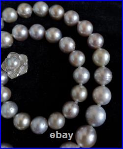 14K Silver South Sea Pearl Necklace & Earrings Set 9.5mm & 12mm 14K Silver South Sea Pearl Necklace & Earrings Set 9.5mm & 12mm