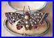 ANTIQUE-GOLD-BUTTERFLY-BROOCH-PIN-set-with-DIAMONDS-PEARLS-RUBIES-SAPPHIRES-01-gjc