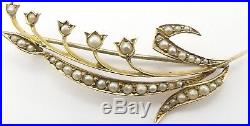 Antique 9 carat yellow gold, pearl set flower spray brooch in a nice antique box