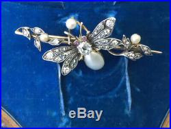 Antique Bee Insect motif gold brooch set with cushion cut diamond, pearls & ruby