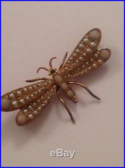 Antique Victorian 15ct Gold Seed Pearl & Pale Coral Set Winged Insect Brooch