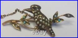 Antique Victorian 9 Carat Gold Kingfisher Brooch Set With Pearls & Turquoise
