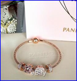 Brand-new Pandora 14k Rose Gold Mesh Bracelet And Charm Set Ale R/ Met 586543