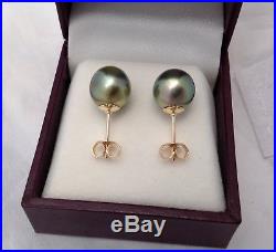 Free Shipping! 10.5mm AAA Tahitian South Sea Pearls set on 9k Gold Stud Earrings