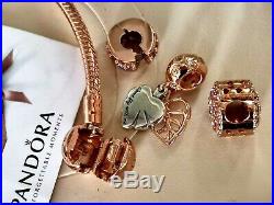 Genuine Pandora 14k Rose Gold Snake Chain Bracelet And Charm Set. Ale Met 580726