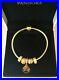Genuine-Pandora-18k-Gold-Snake-Chain-Bracelet-five-Charms-Set-568748coo-New-01-ezg