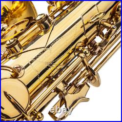 Mid-range Alto Drop E Lacquered Golden Saxophone with Mouthpiece Reed Aglet Sets