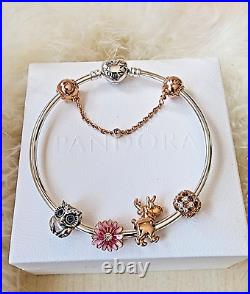 Pandora Heart Bracelet +bead charms Set -Pink Daisy-Owl-Rose Gold Safety chain