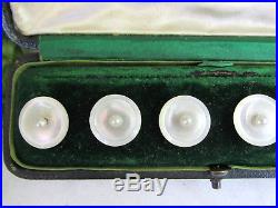 Set Of 6 Antique 9k Gold Genuine Pearl Buttons Presentation Box Kings Jewelers