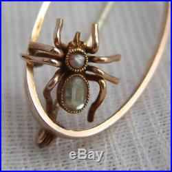 Victorian 9ct Gold Oval Framed Open Insect Brooch Seed Pearl & Gem Set Spider
